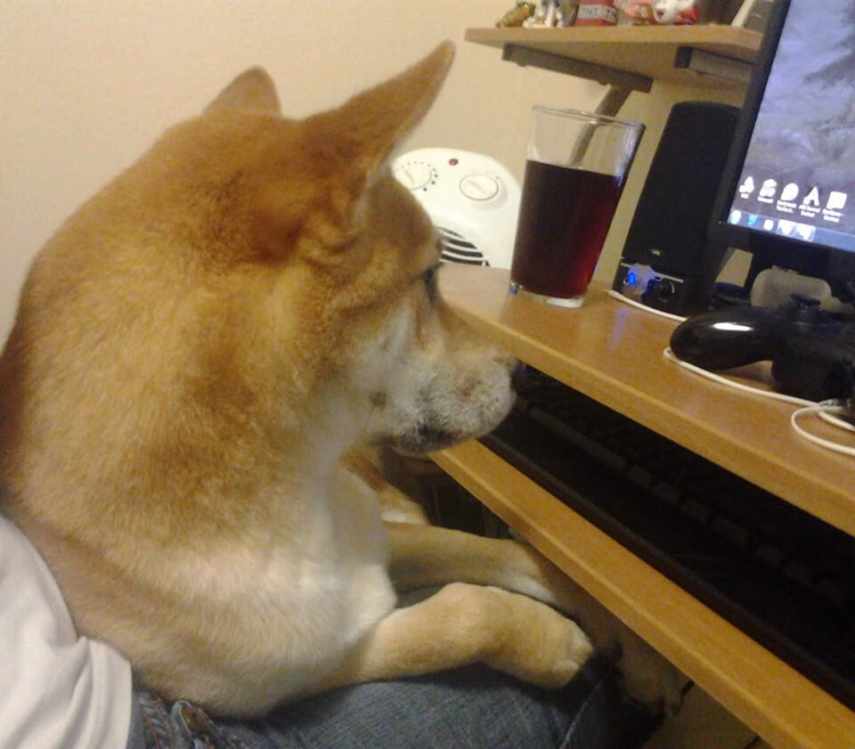 开云体育官网-国王鏖战热火惊天逆转！杰伦·格林末节封神，一战奠定关键先生美名